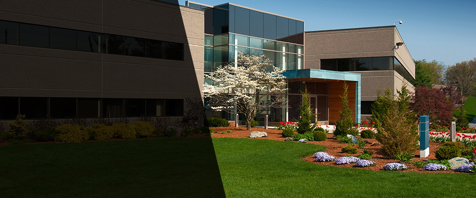 Stanford Landscapers