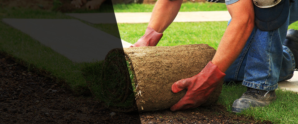 Stanford Landscapers